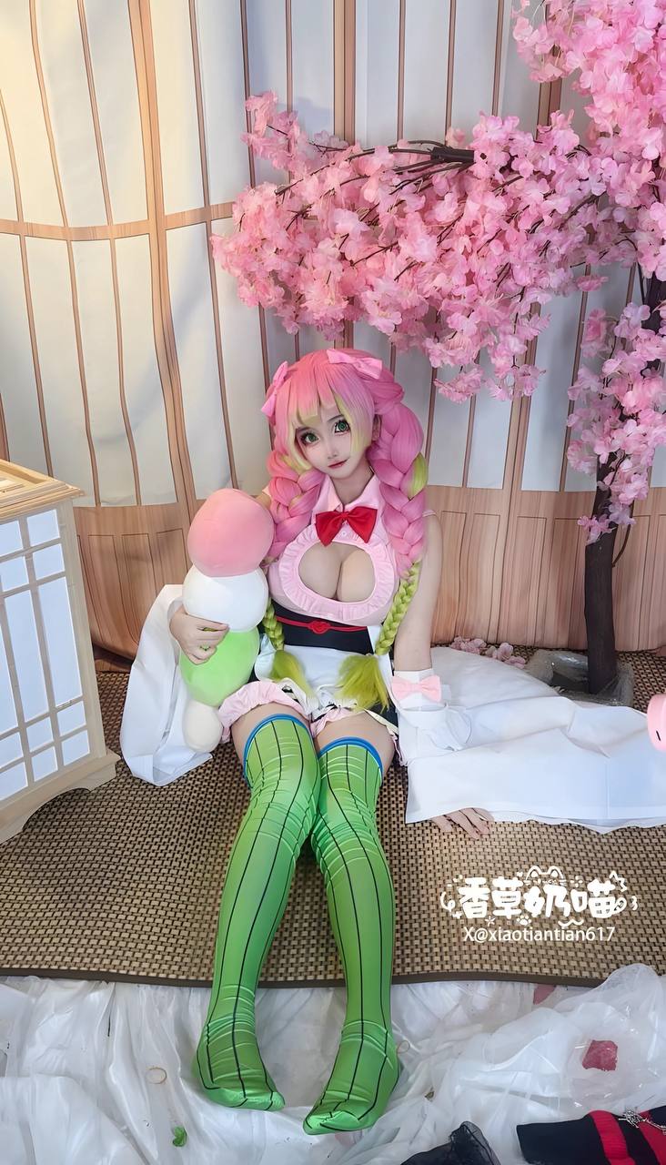 图片[5]-香草奶喵 No.016 – 鬼灭之刃 甘露寺蜜璃·典藏版 [204P,71V-1.07GB]-COSX写真网